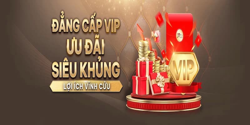 Tại sao ưu đãi VIP Manclub lại quan trọng với người chơi